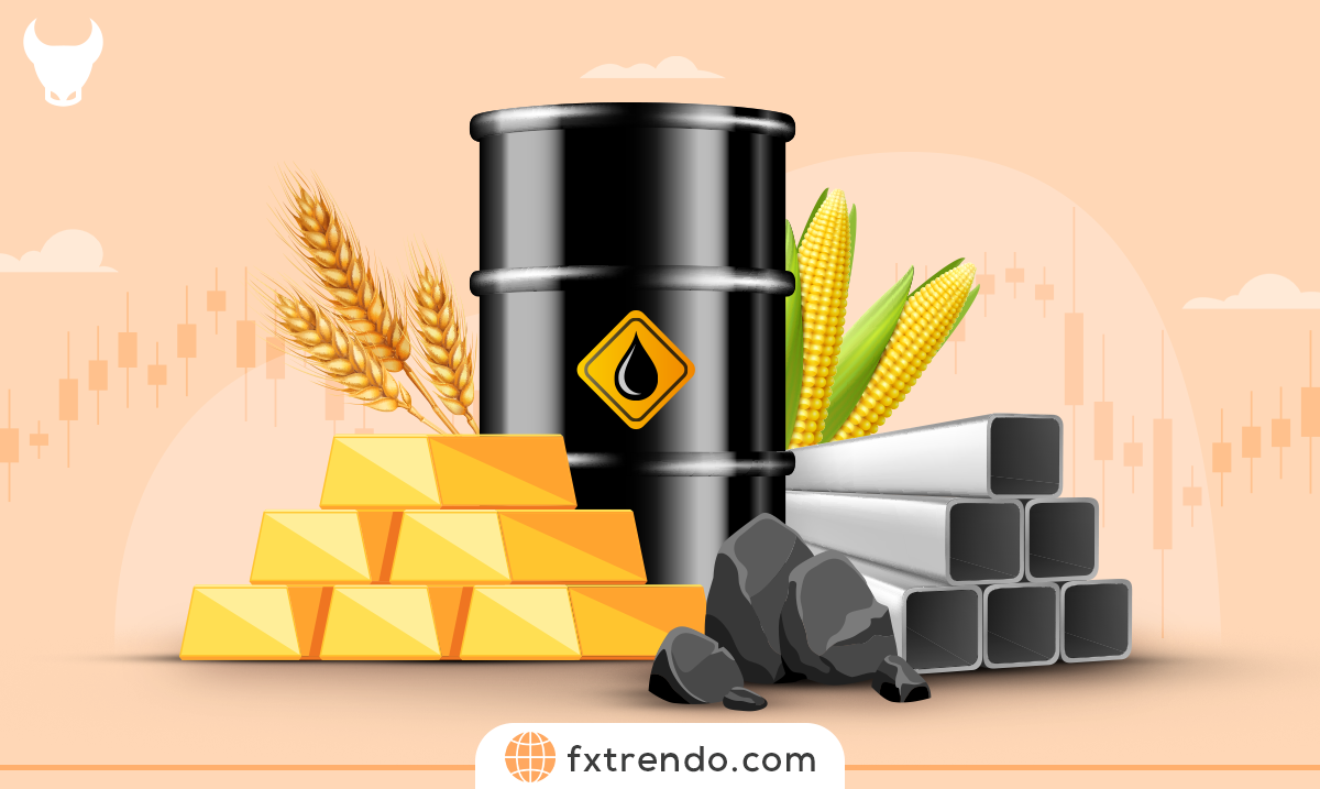 What is a Commodity and its importance?