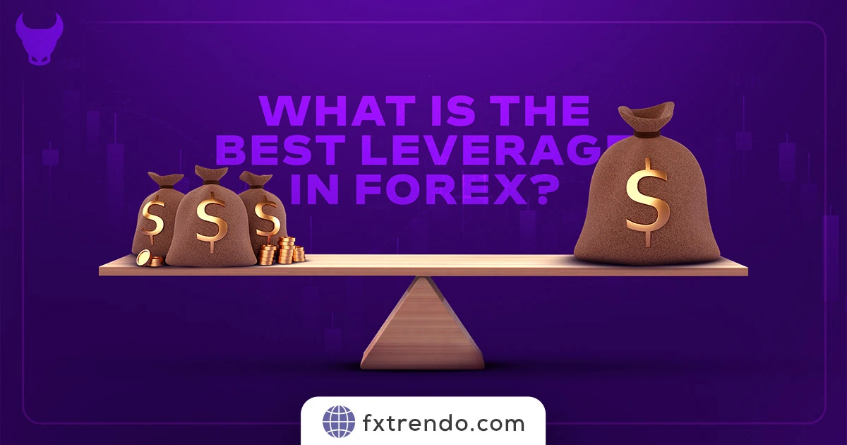 What is the Best Leverage in Forex? Learn Everything about Best Leverage in Forex